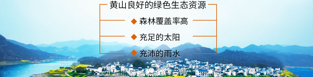 黃山市徽州宏星綠色實(shí)業(yè)有限公司