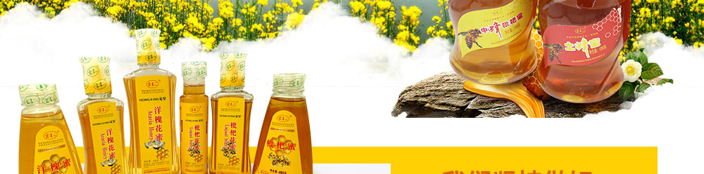 黃山市徽州宏星綠色實(shí)業(yè)有限公司